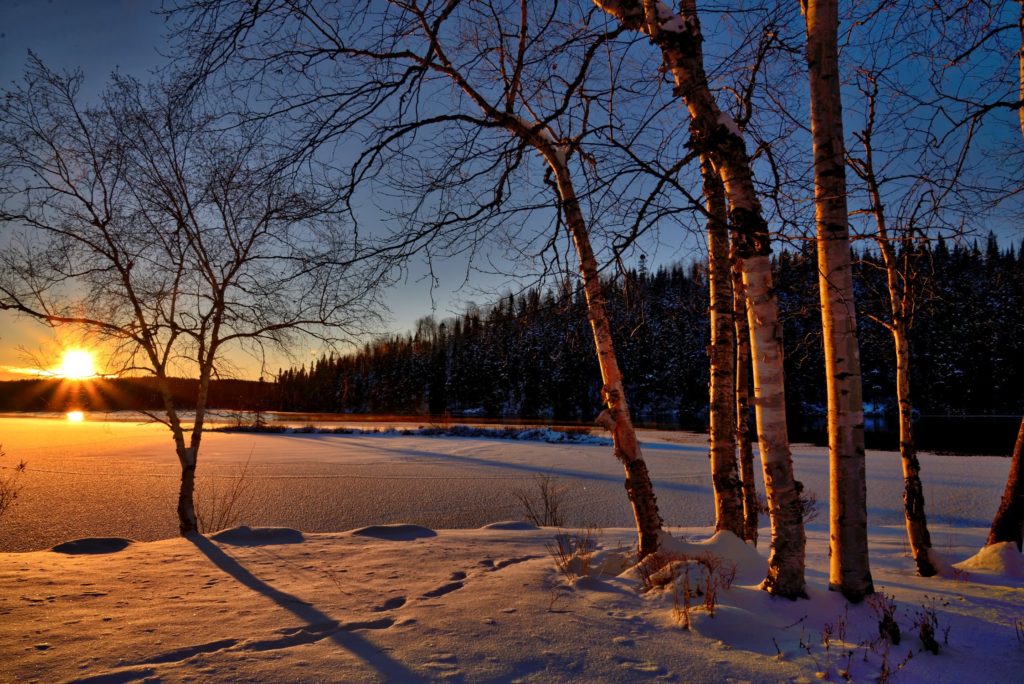 winter solstice scene