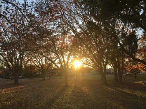 Winter Solstice 2017 in Northern California