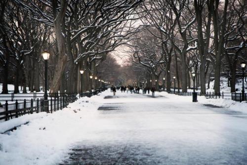 city winter scene